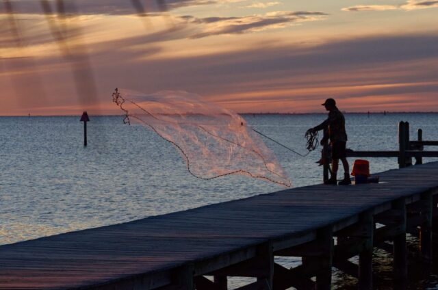 Fisherman Tossing His Net for Bait