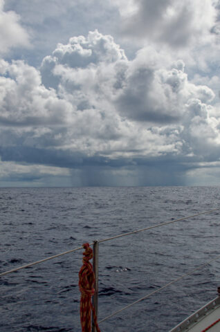 Morning Squall