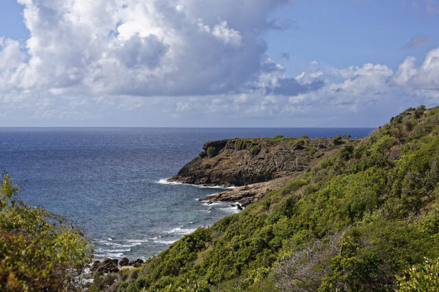 Falmouth Harbour Headland From the Goat Trail
