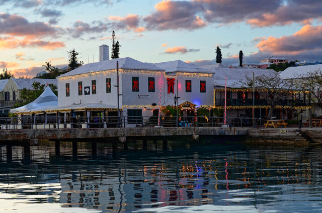 Bermuda: White Horse Decorated For Christmas