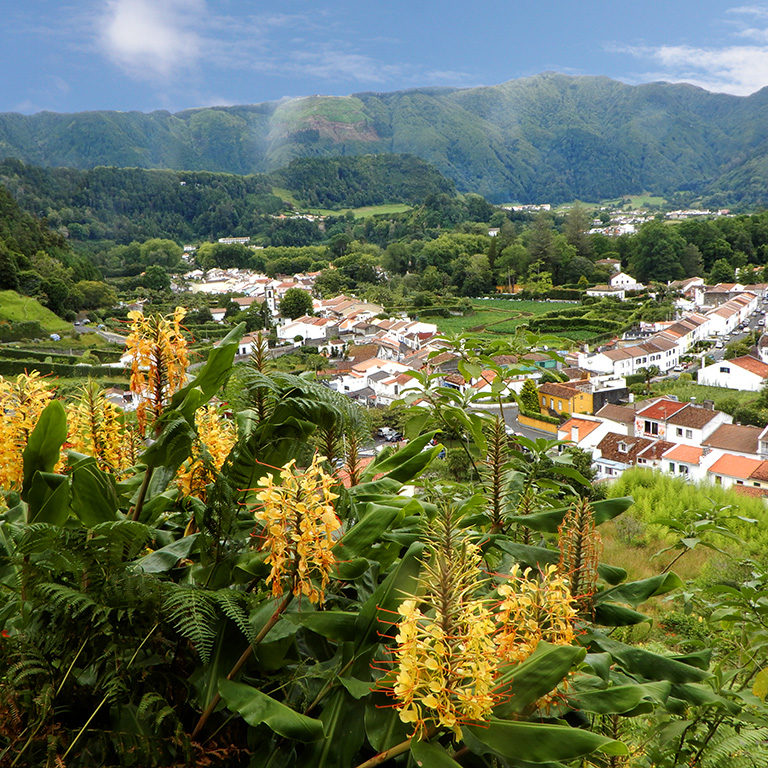 View of the Furnas Village from above