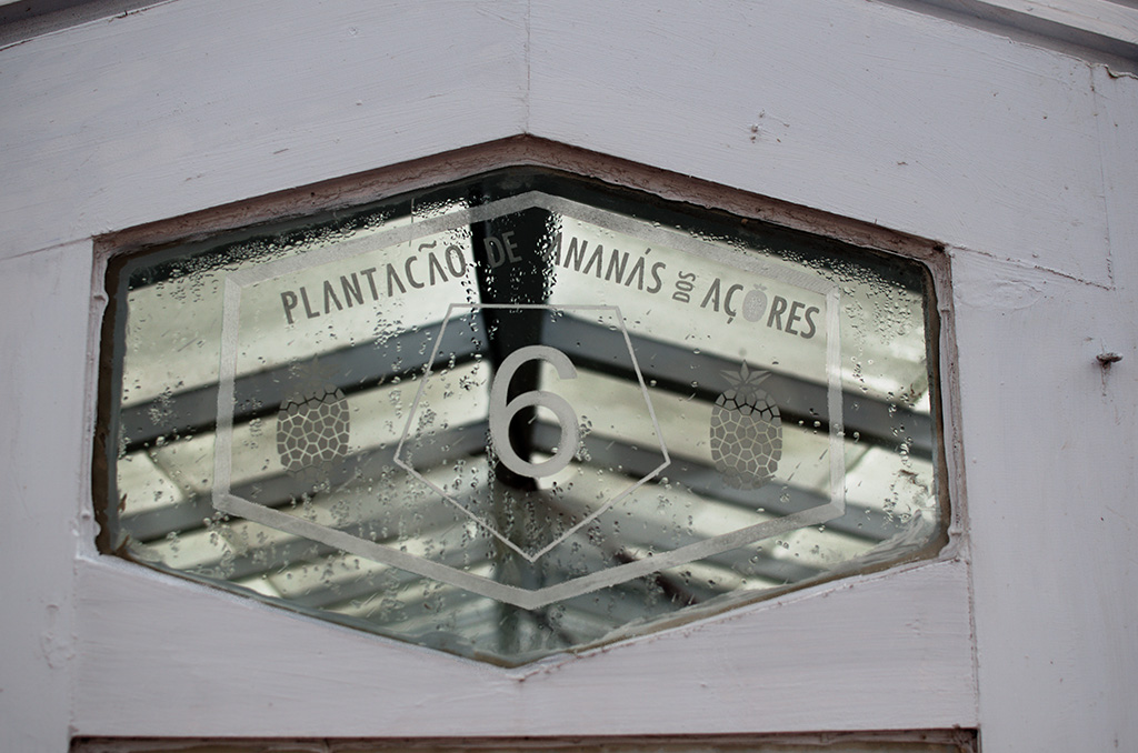 Etched Window of Pineapple Greenhouse