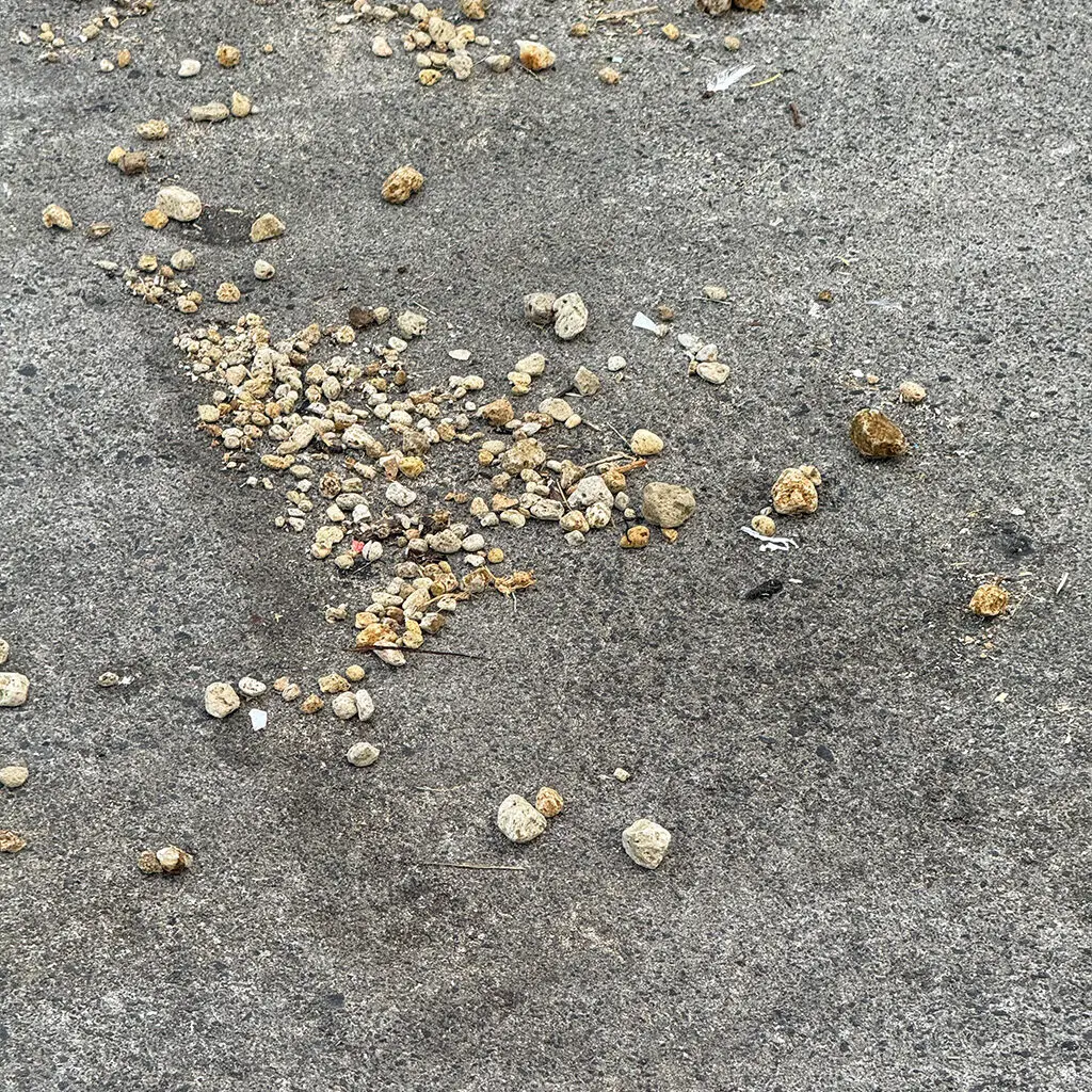 Pumice on the Boat Ramp