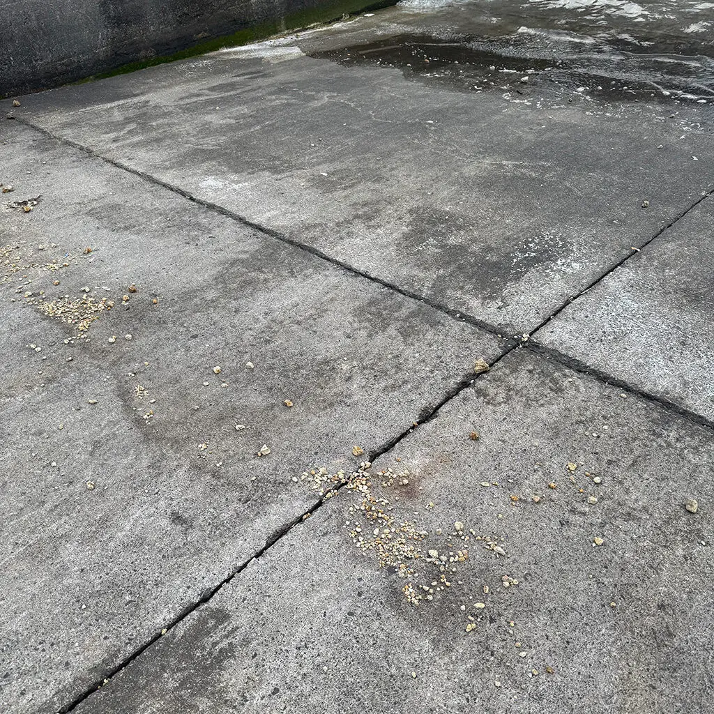 Pumice on the Boat Ramp