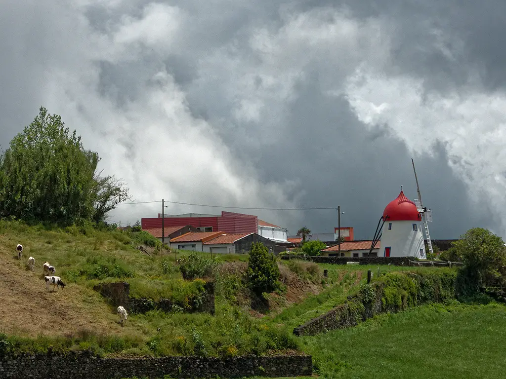 Aunt Faria's Windmill